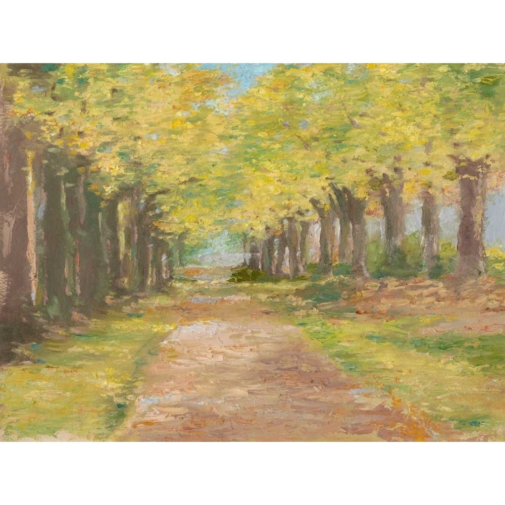 Fall Path III Poster Print - Ethan Harper-VARPDX114281FN Image 1