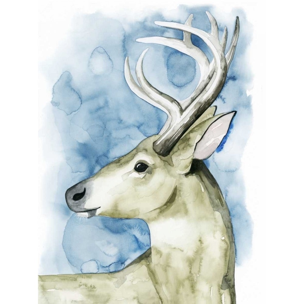 Wandering Stag I Poster Print - Grace Popp-VARPDX114406Z Image 1