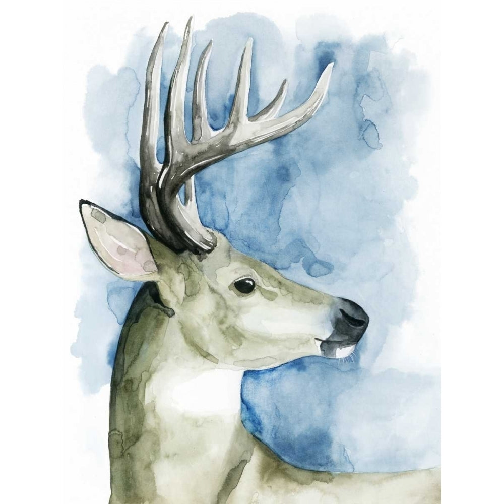 Wandering Stag II Poster Print - Grace Popp-VARPDX114407Z Image 1