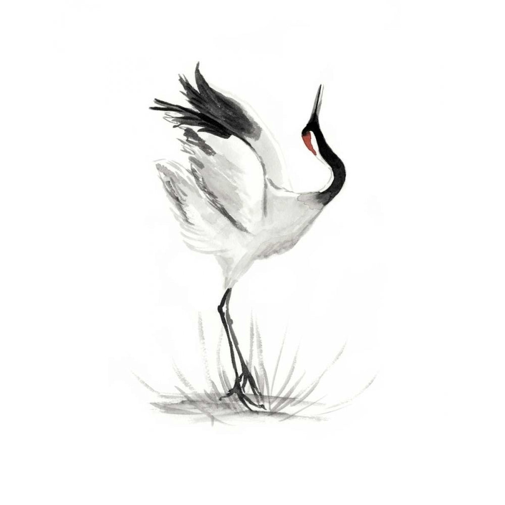 Japanese Cranes I Poster Print - Naomi McCavitt-VARPDX114623Z Image 1