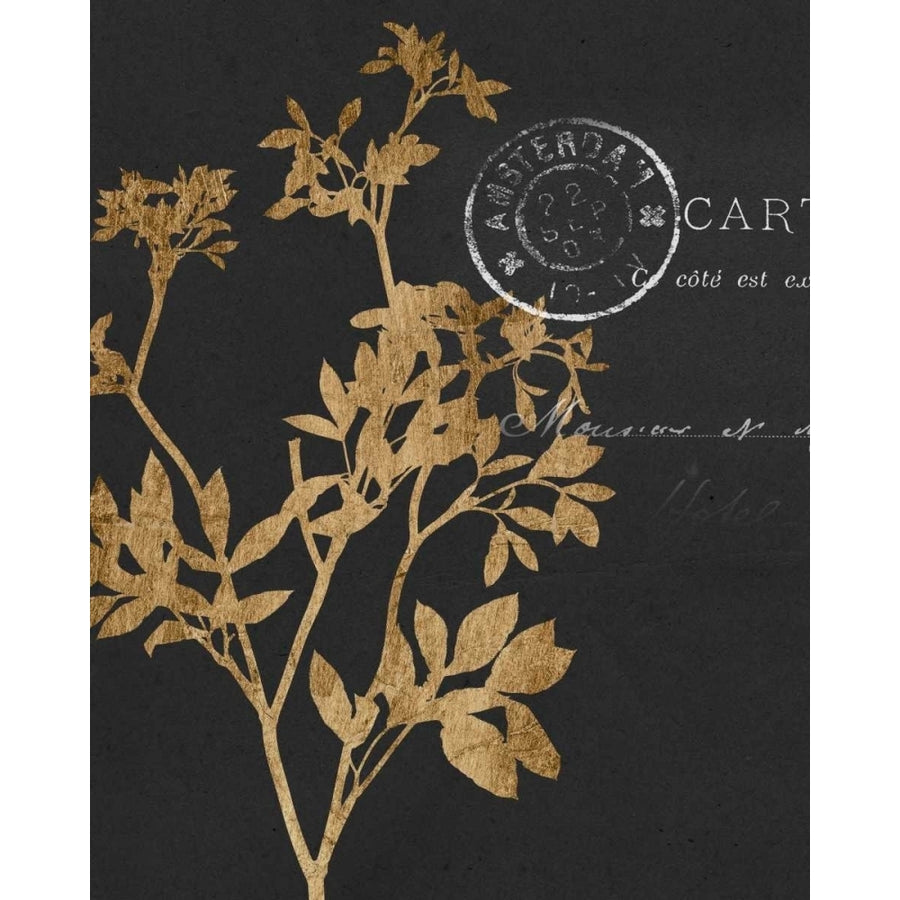 Golden Leaves III Poster Print - Jennifer Goldberger-VARPDX114684GG Image 1