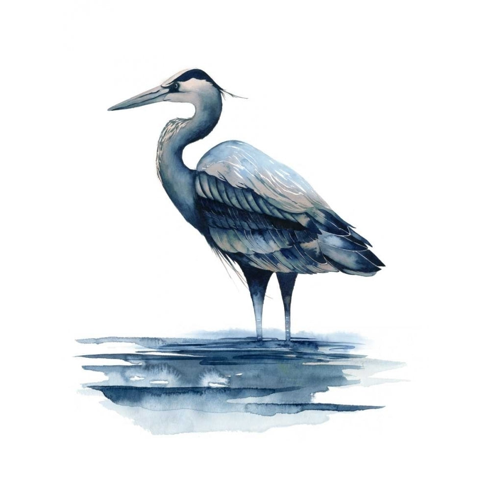 Azure Heron I Poster Print - Grace Popp-VARPDX114959Z Image 1