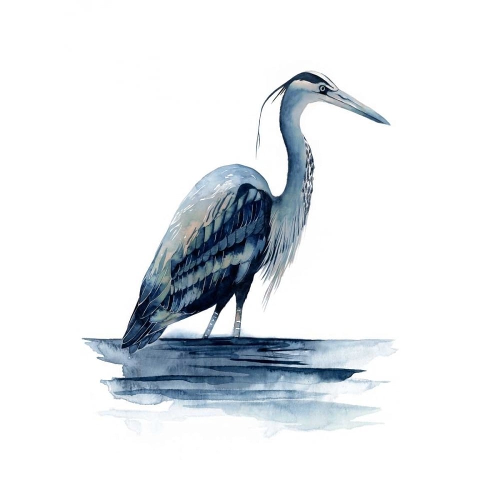 Azure Heron II Poster Print - Grace Popp-VARPDX114960Z Image 1