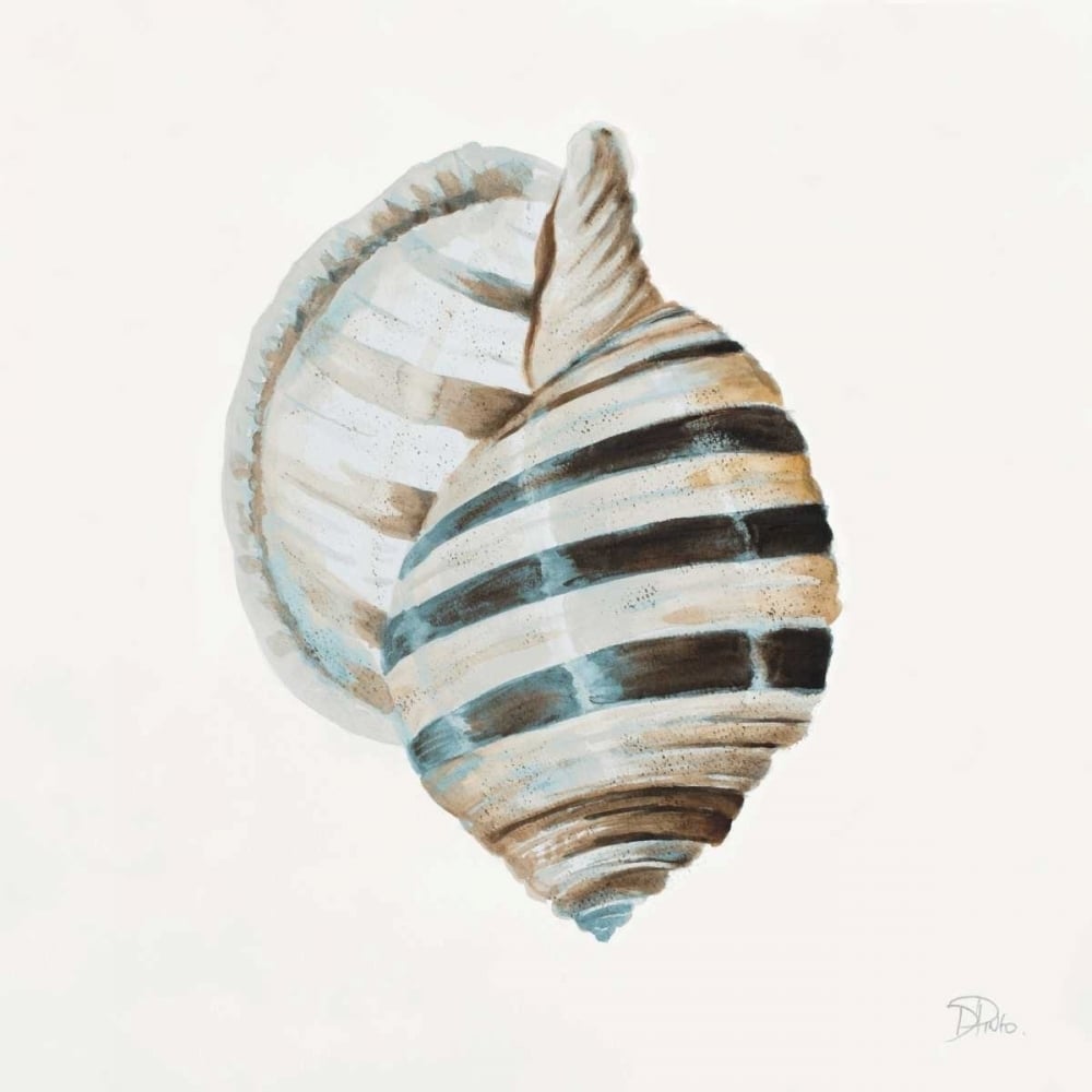 Modern Shell with Teal I Poster Print by Patricia Pinto-VARPDX11495B Image 1