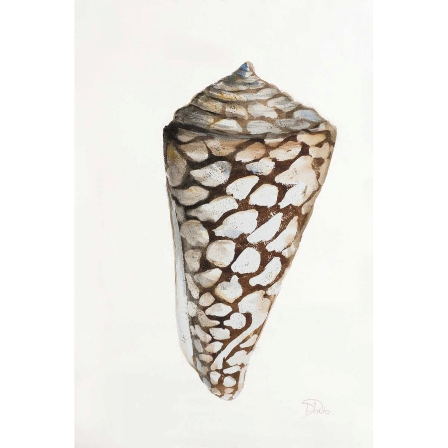 Modern Shell II Poster Print by Patricia Pinto-VARPDX11496 Image 1