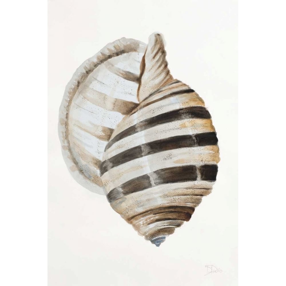 Modern Shell I Poster Print by Patricia Pinto-VARPDX11495 Image 1