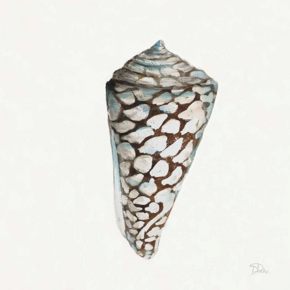 Modern Shell with Teal II Poster Print by Patricia Pinto-VARPDX11496B Image 1