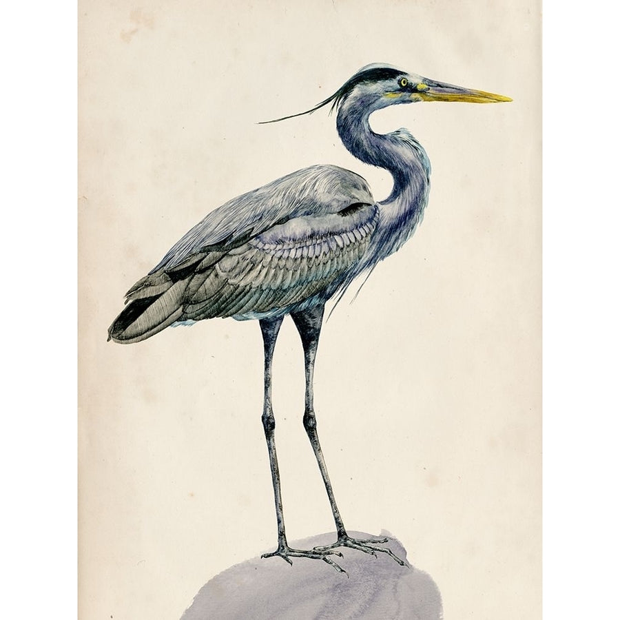 Blue Heron Rendering I Poster Print - Melissa Wang-VARPDX115497Z Image 1