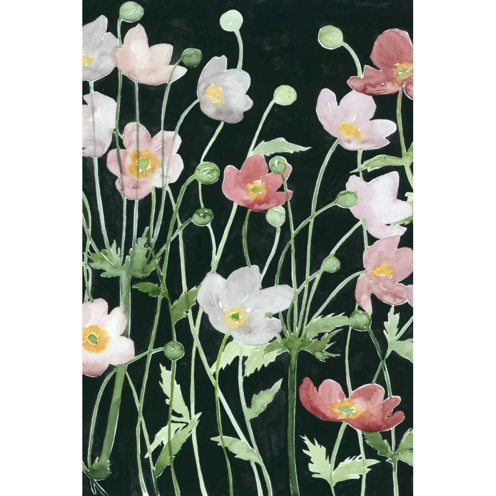 Anemone Dance I Poster Print - Grace Popp-VARPDX115501Z Image 1