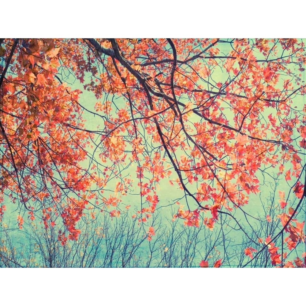 Autumn Tapestry II Poster Print - Judy Stalus-VARPDX115647GG Image 1