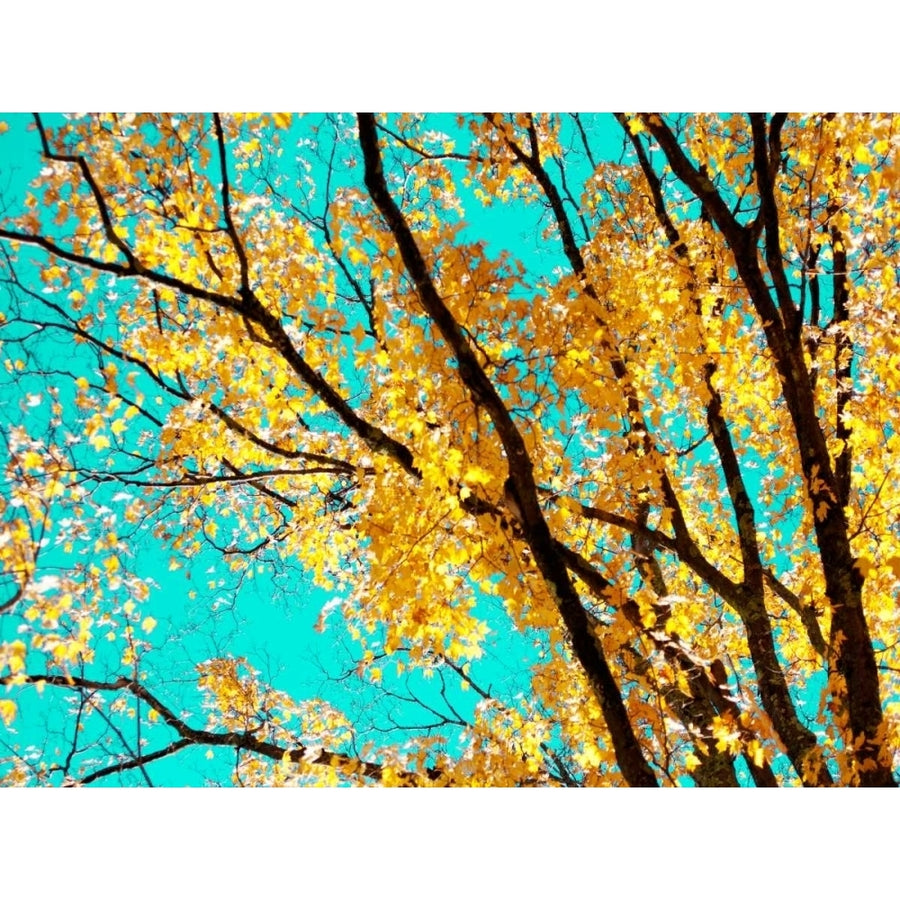 Autumn Tapestry IV Poster Print - Judy Stalus-VARPDX115649GG Image 1