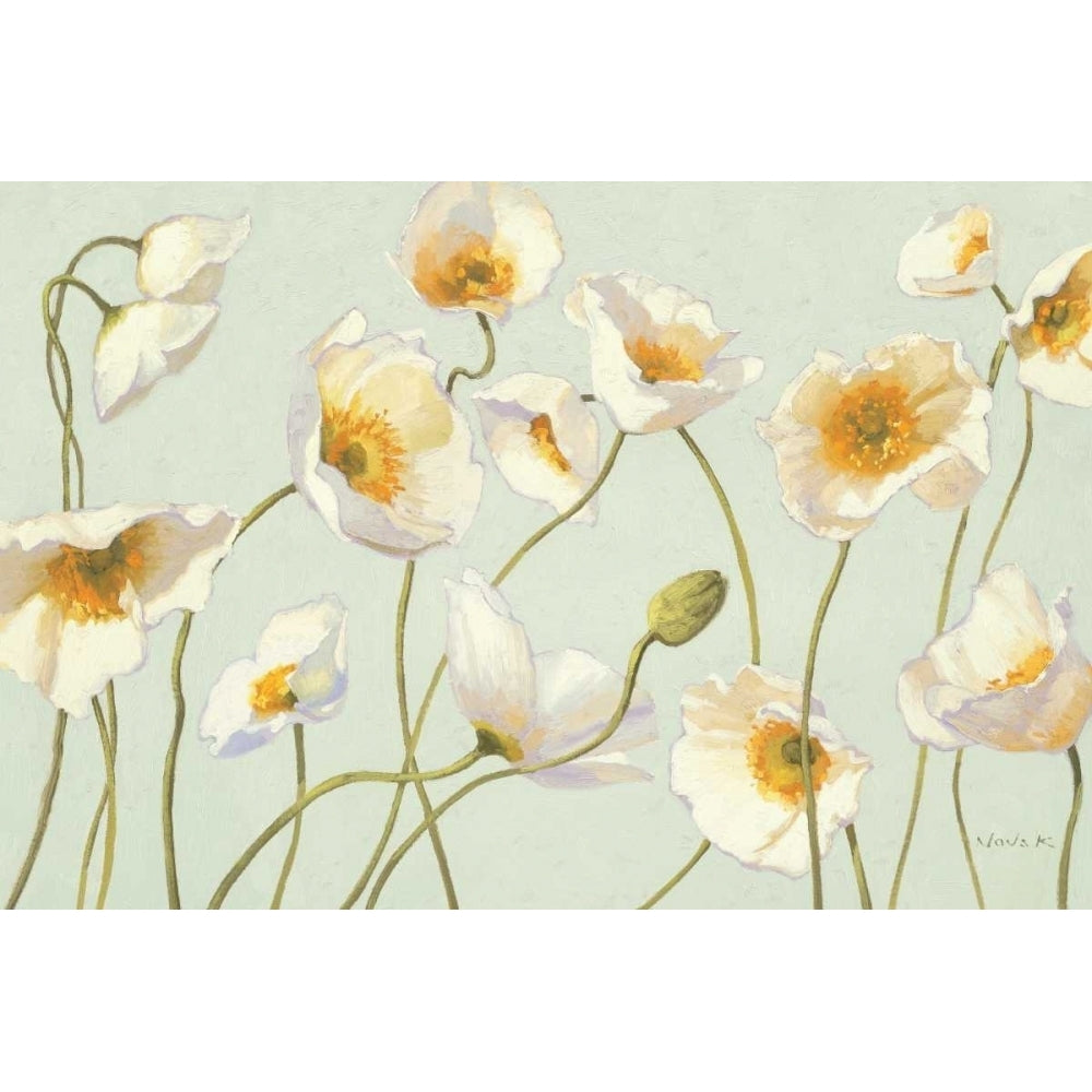 White and Bright Poppies Poster Print by Shirley Novak-VARPDX11576 Image 1