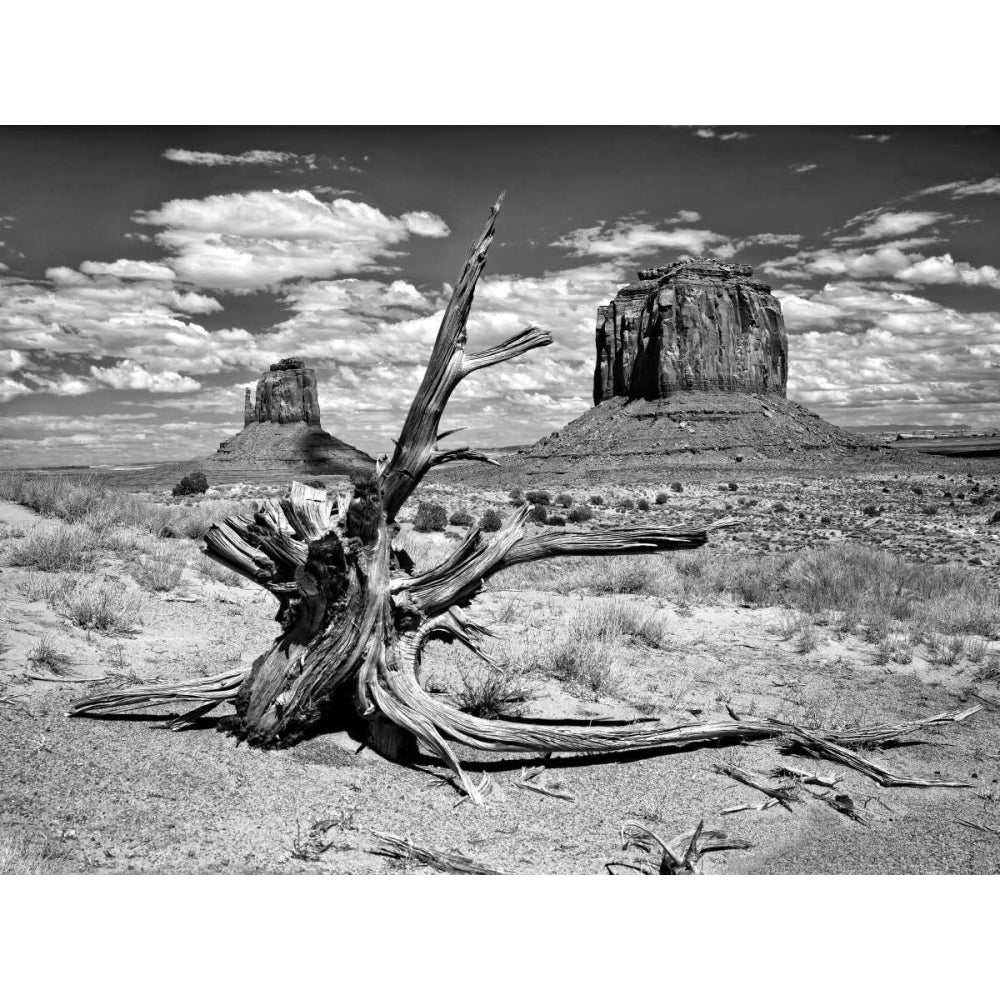 BandW Desert View V Poster Print - David Drost-VARPDX115943GG Image 1