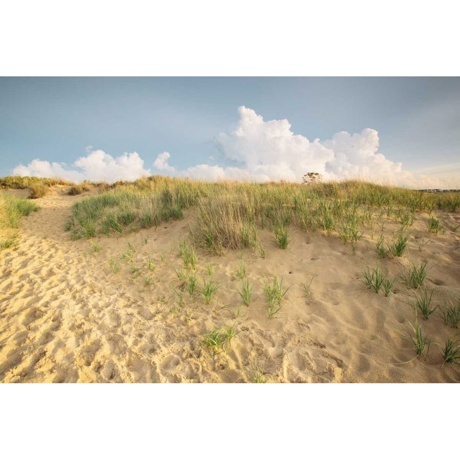 First Landing Dunes IV Poster Print - Adam Mead-VARPDX116366D Image 1