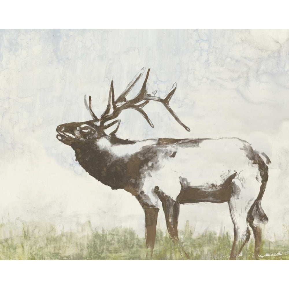 Wild Call I Poster Print - Jennifer Goldberger-VARPDX116728GG Image 1