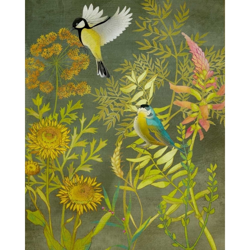 Birding I Poster Print - Chariklia Zarris-VARPDX116744GG Image 1