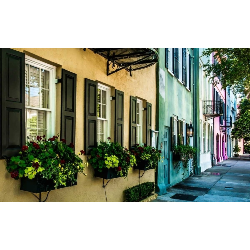 Charleston Poster Print by Bill Carson Photography-VARPDX11686J Image 1