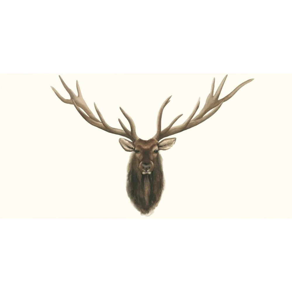 Elk Bust Poster Print - Grace Popp-VARPDX116889D Image 1