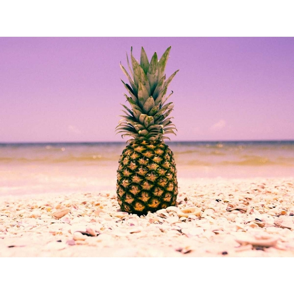 South Florida Pineapple I Poster Print - Adam Mead-VARPDX116928D Image 1