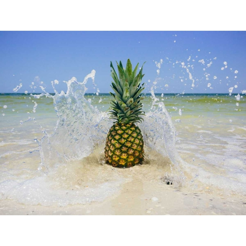 South Florida Pineapple III Poster Print - Adam Mead-VARPDX116930D Image 1