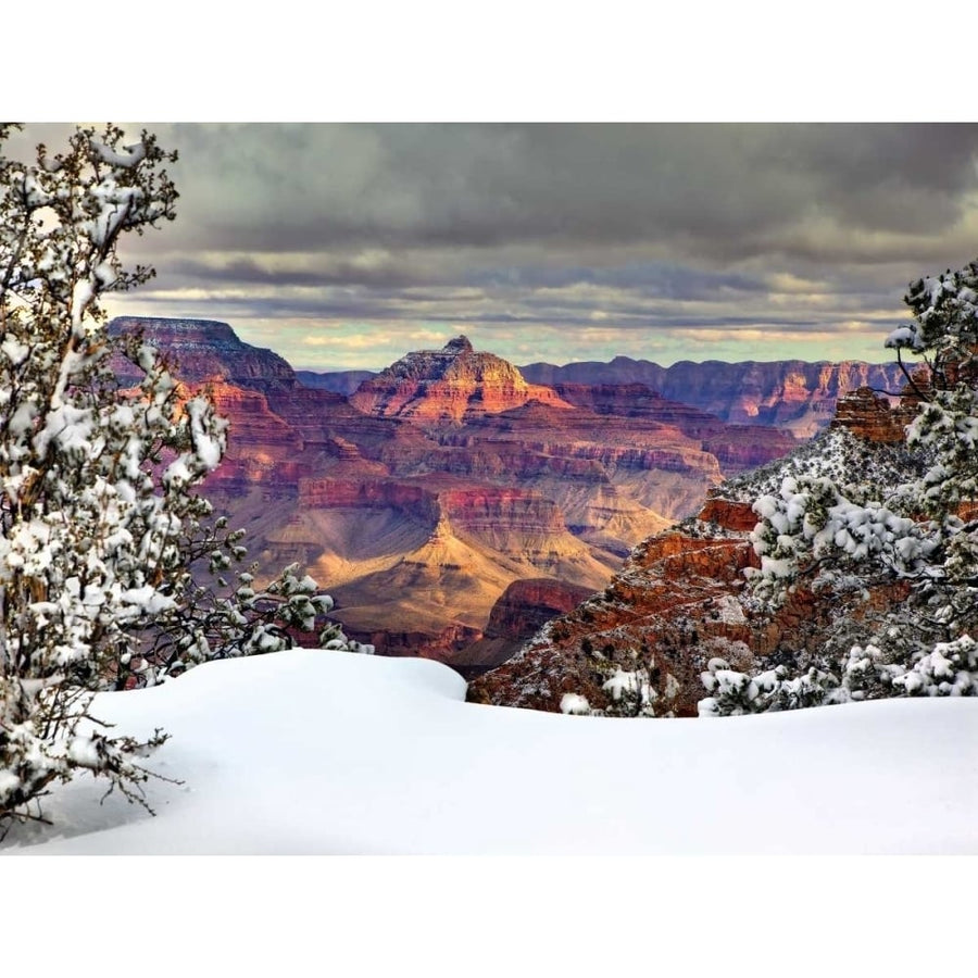 Snowy Grand Canyon I Poster Print - David Drost-VARPDX116933GG Image 1