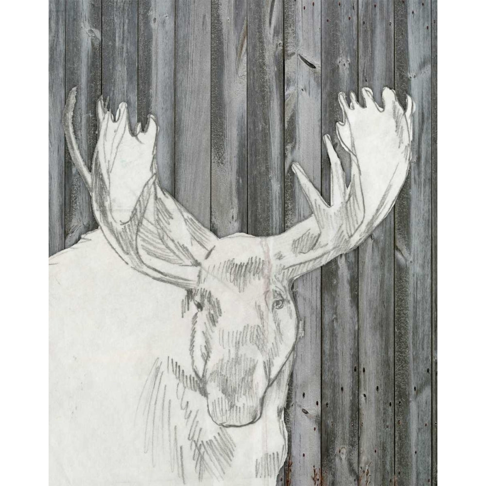 Barnwood Lodge Sketch II Poster Print - Jennifer Goldberger-VARPDX117051GG Image 1