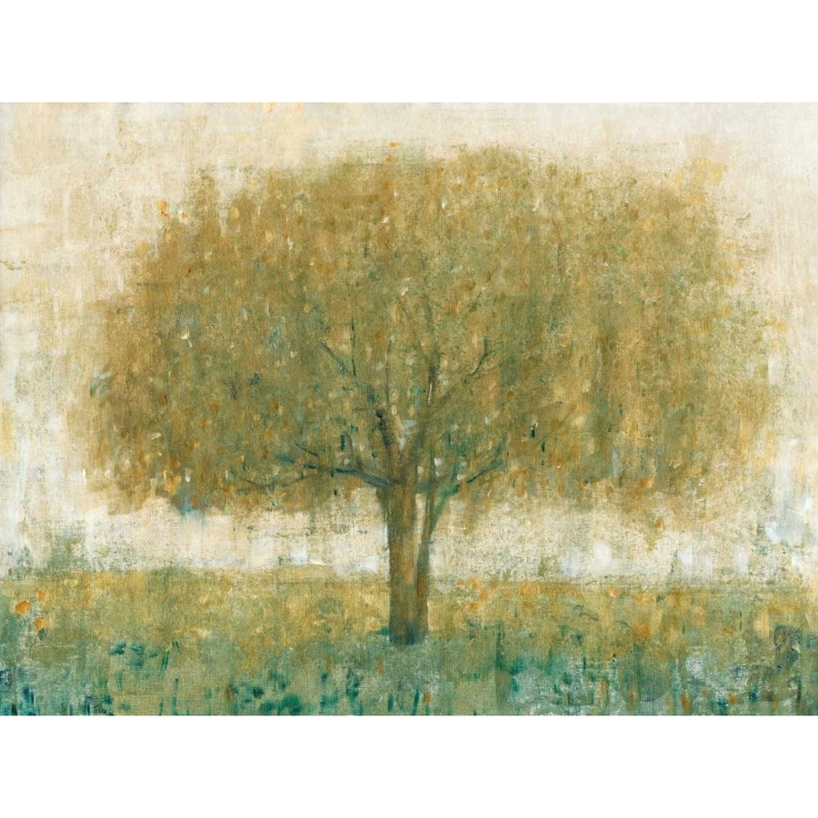 Summer Day Tree II Poster Print - Tim OToole-VARPDX117077GG Image 1