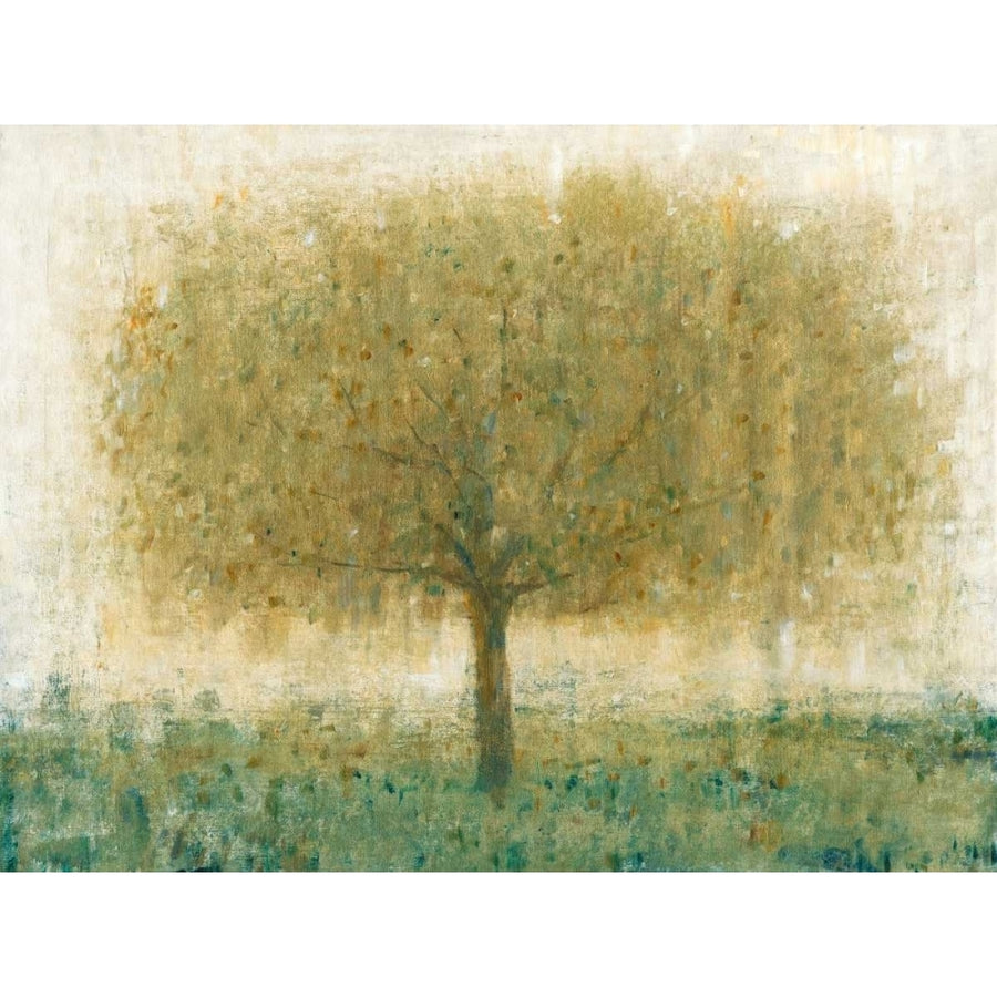 Summer Day Tree I Poster Print - Tim OToole-VARPDX117076GG Image 1