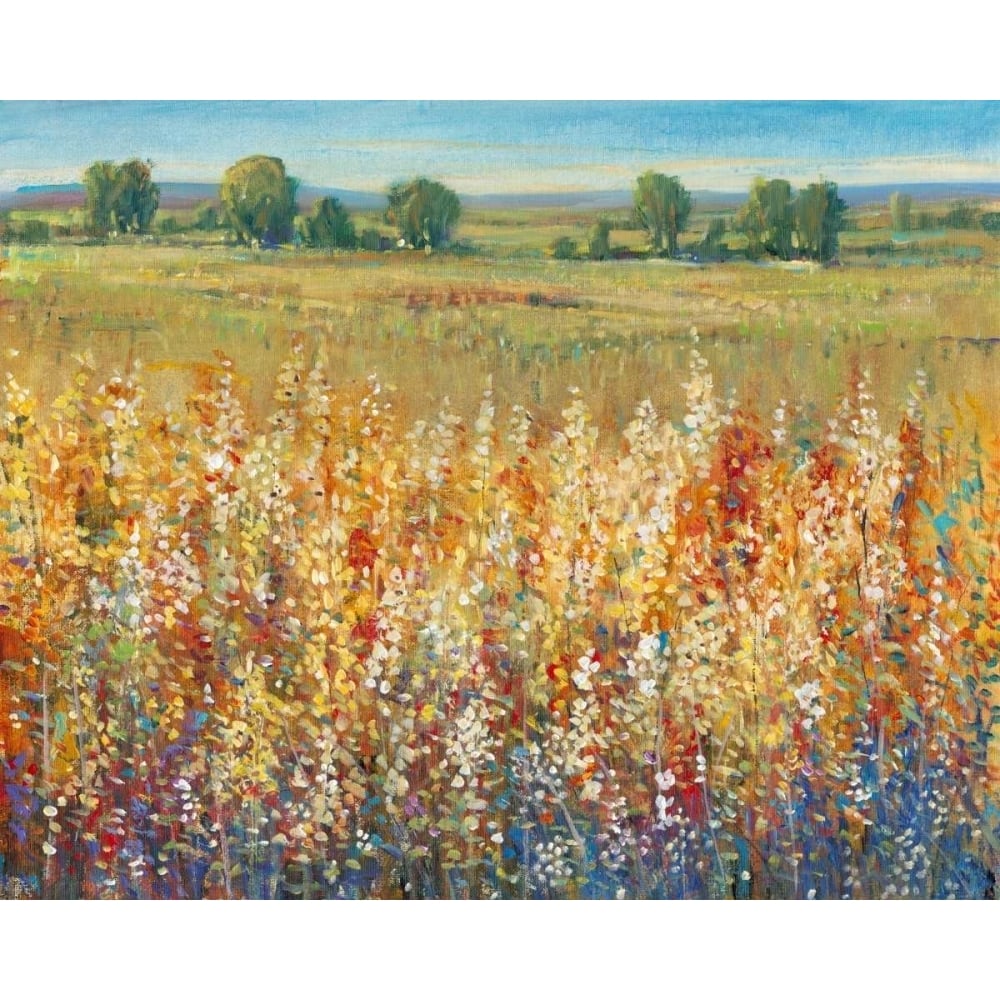 Gold and Red Field I Poster Print - Tim OToole-VARPDX117080GG Image 1