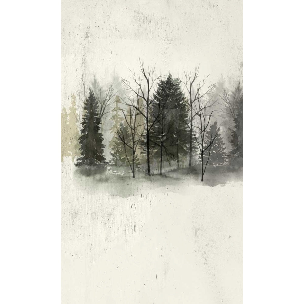 Textured Treeline I Poster Print - Grace Popp-VARPDX117133GG Image 1