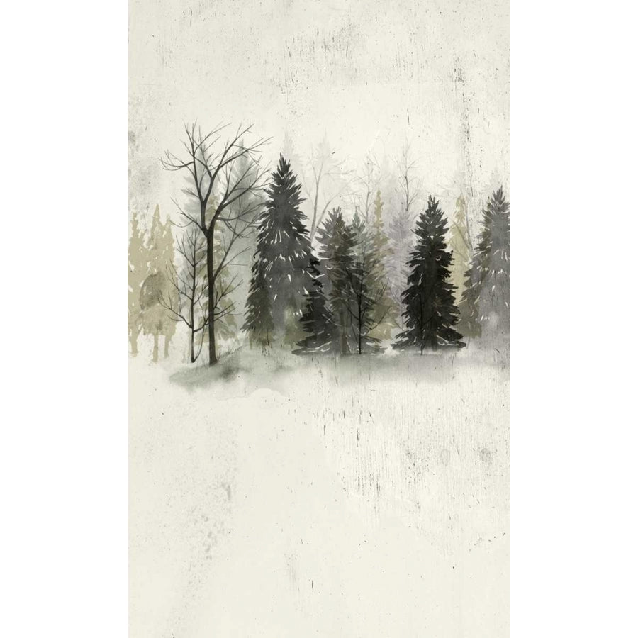 Textured Treeline II Poster Print - Grace Popp-VARPDX117134GG Image 1