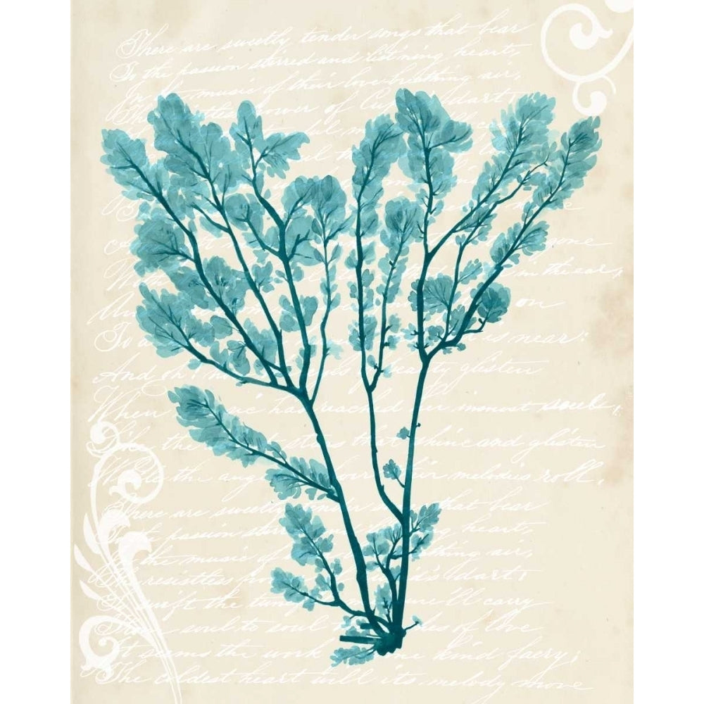 Teal Seaweed V Poster Print - Grace Popp-VARPDX117149GG Image 1