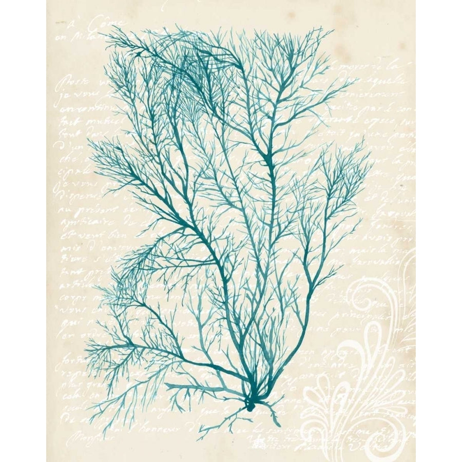 Teal Seaweed II Poster Print - Grace Popp-VARPDX117146GG Image 1