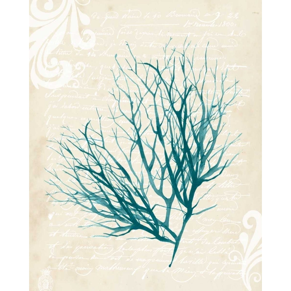 Teal Seaweed IV Poster Print - Grace Popp-VARPDX117148GG Image 1