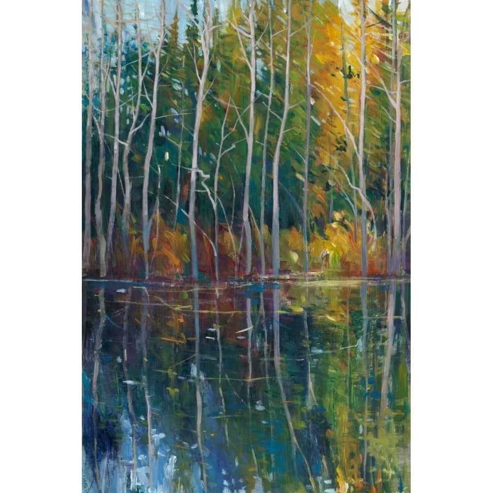 Pine Reflection II Poster Print - Tim OToole-VARPDX11717VM Image 1