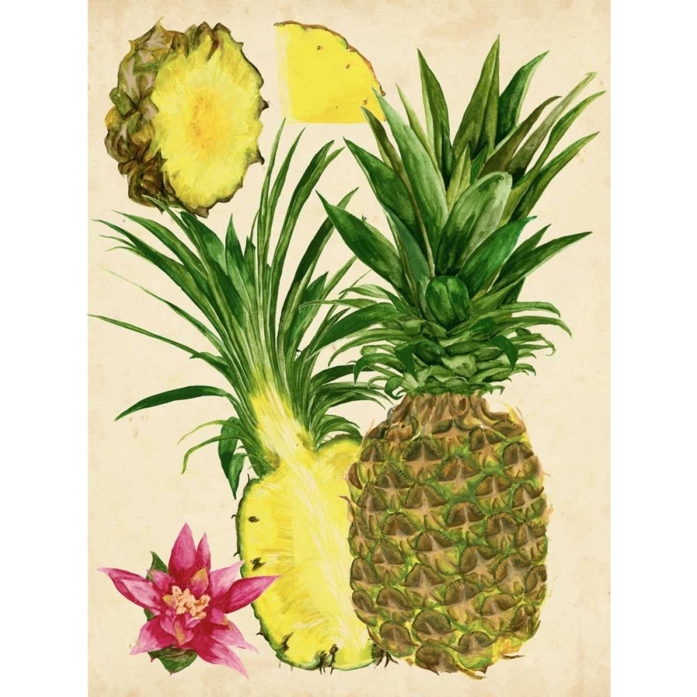 Tropical Pineapple Study II Poster Print - Melissa Wang-VARPDX117356GG Image 1