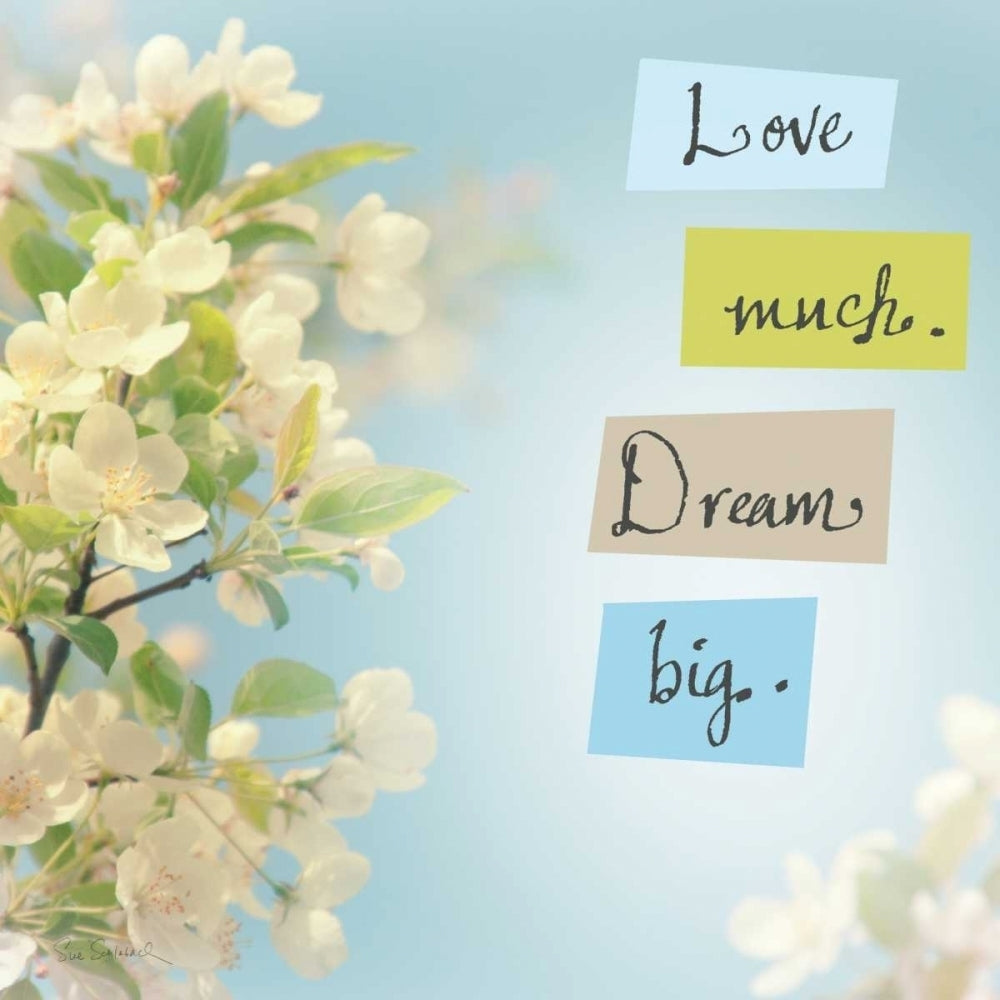 Love Much Dream Big Poster Print by Sue Schlabach-VARPDX11749 Image 1