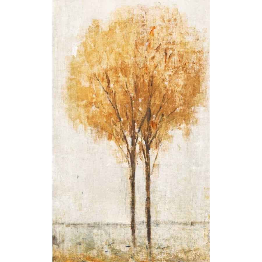 Falling Leaves I Poster Print - Tim OToole-VARPDX11758VM Image 1