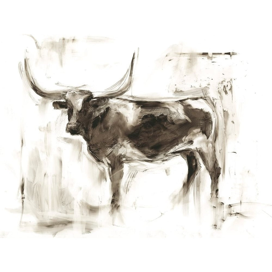 Longhorn Study II Poster Print - Ethan Harper-VARPDX117632Z Image 1