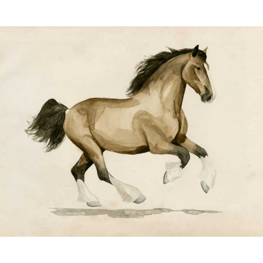 Clydesdale I Poster Print - Grace Popp-VARPDX117708Z Image 1