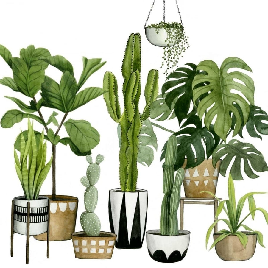 Plant Haven I Poster Print - Grace Popp-VARPDX117992D Image 1