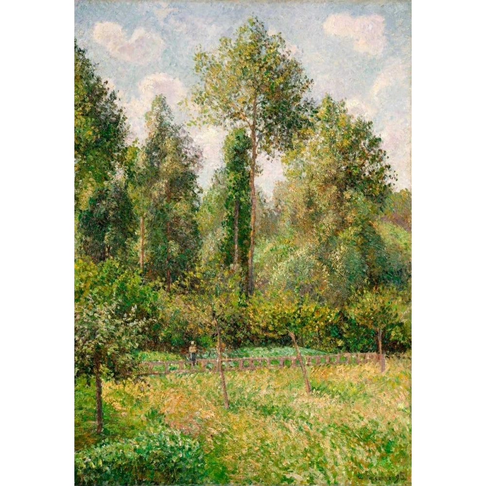 Poplars Eragny Poster Print - Camille Pissarro-VARPDX118113Z Image 1