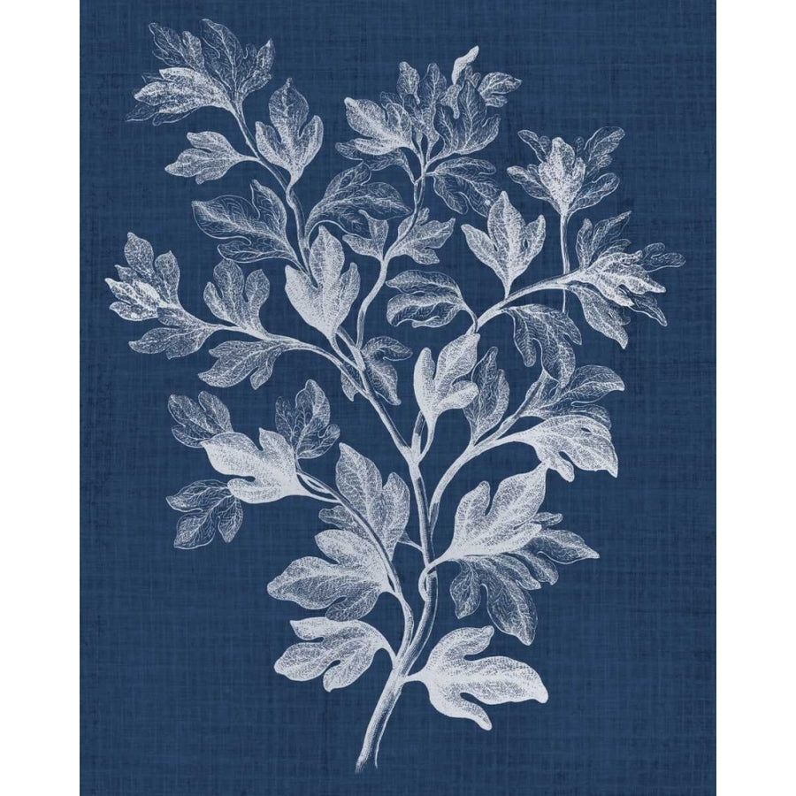 Foliage Chintz I Poster Print - Studio Vision-VARPDX118195Z Image 1