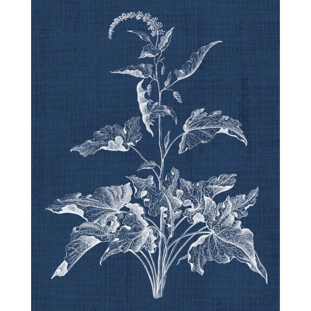 Foliage Chintz II Poster Print - Studio Vision-VARPDX118196Z Image 1