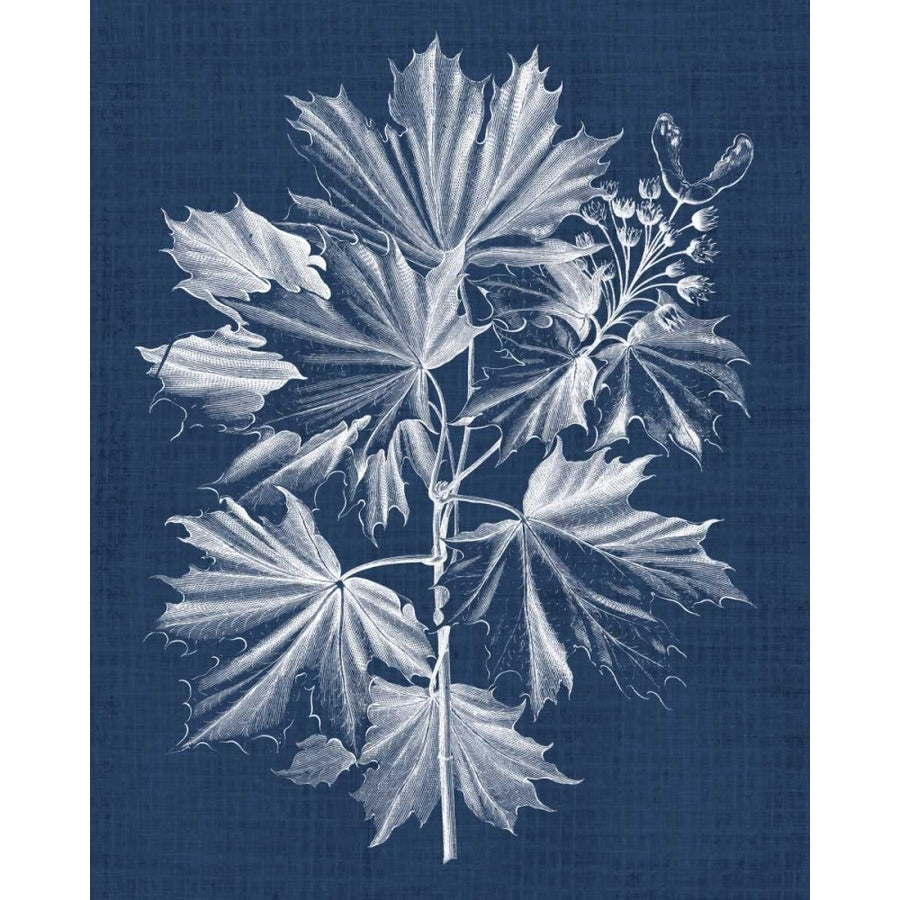 Foliage Chintz V Poster Print - Studio Vision-VARPDX118199Z Image 1