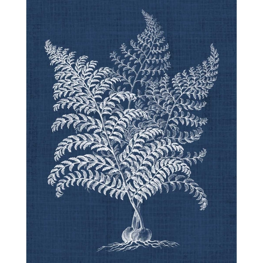 Foliage Chintz VI Poster Print - Studio Vision-VARPDX118200Z Image 1