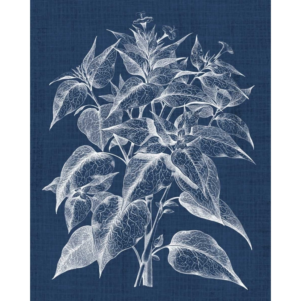 Foliage Chintz III Poster Print - Studio Vision-VARPDX118197Z Image 1