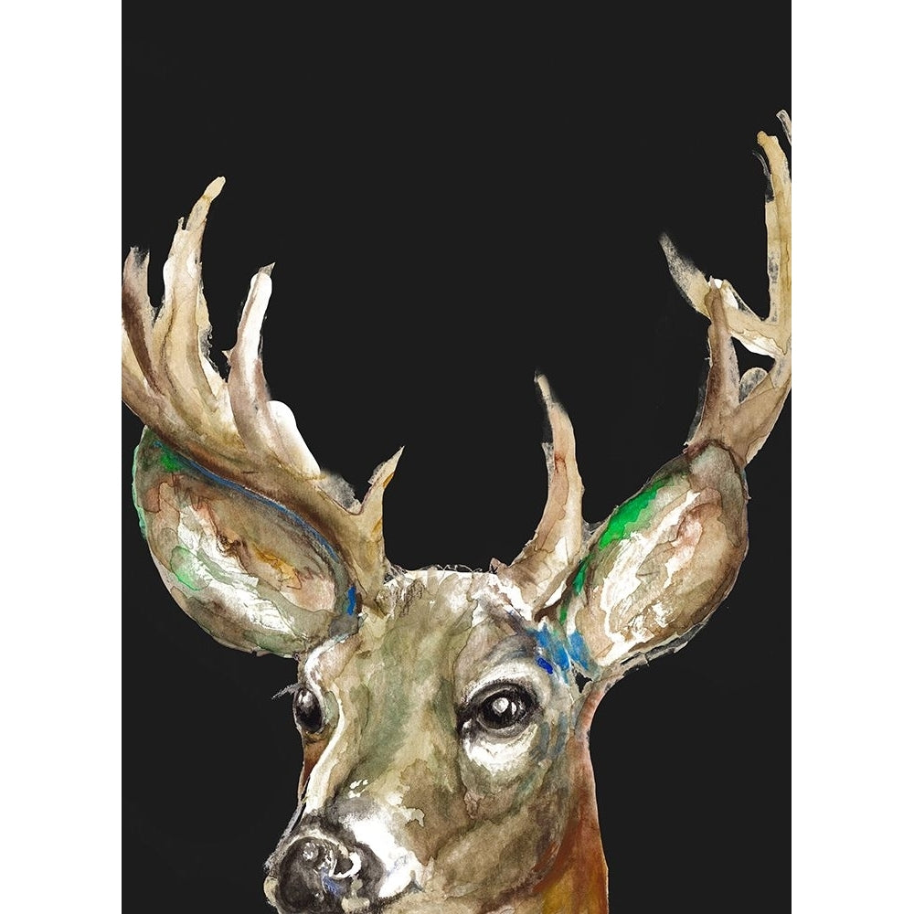 Deer On Black Poster Print - Patricia Pinto-VARPDX11820LA Image 1