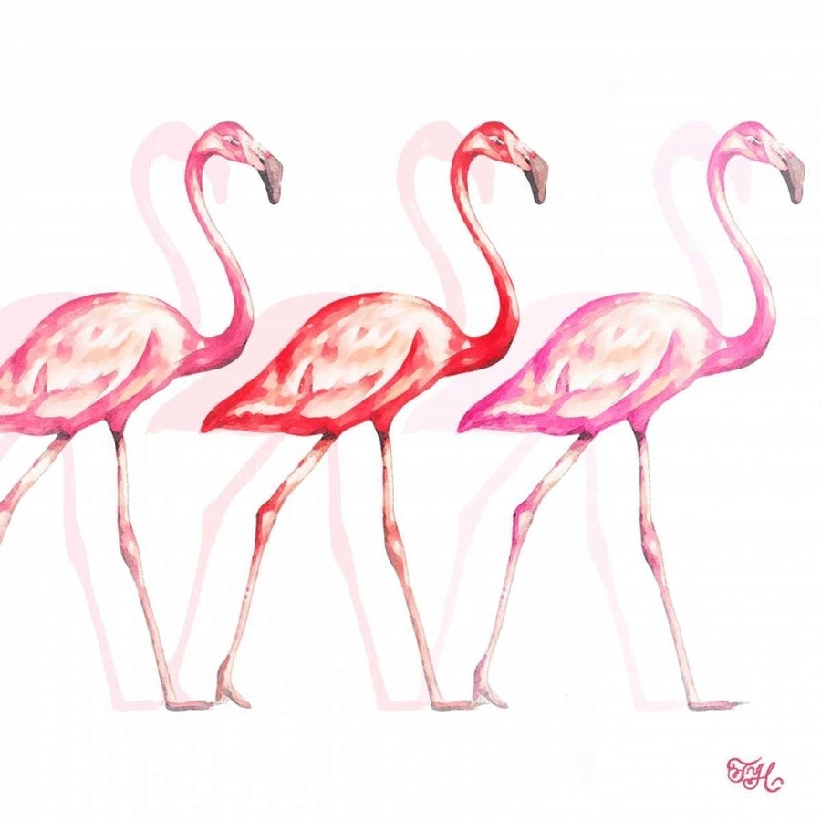 Flamingo Trio I Poster Print by Tiffany Hakimipour-VARPDX11833DD Image 1