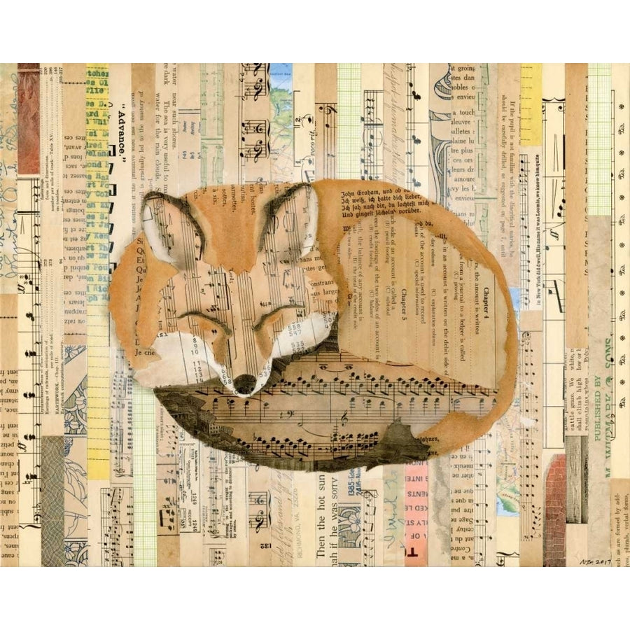 Red Fox Collage III Poster Print - Nikki Galapon-VARPDX118432Z Image 1